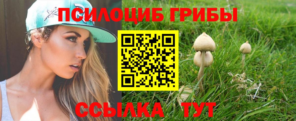 Галлюциногенные грибы Psilocybine cubensis  Вход с VPN  где найти   Кызыл  Псилоцибиновые грибы Psilocybe 